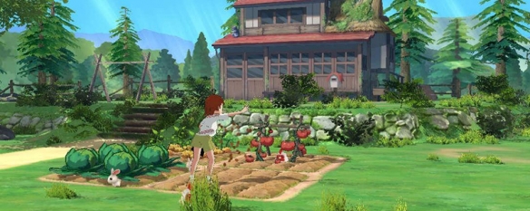 584_20210513113613339 (1).jpg